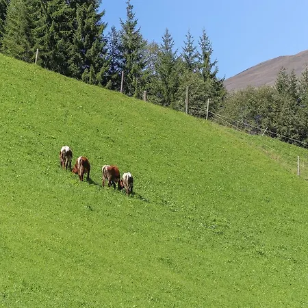 Landhaus Hinterglemm * Saalbach-Hinterglemm