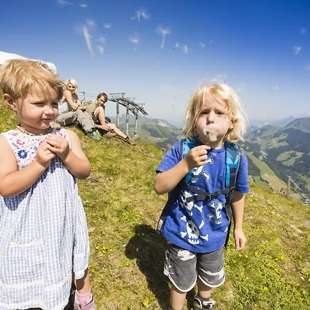 Landhaus Hinterglemm Lejlighed *